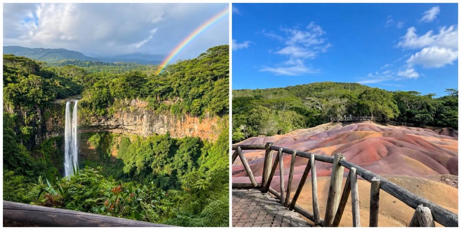 Маврикий, 5 день: Black River Gorges National Park + Шамарель